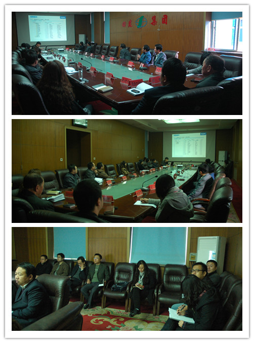 公司召开信息化龙8交底交流工作会